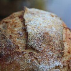 Sourdough House Loaf