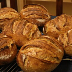 August Subscription: House Sourdough